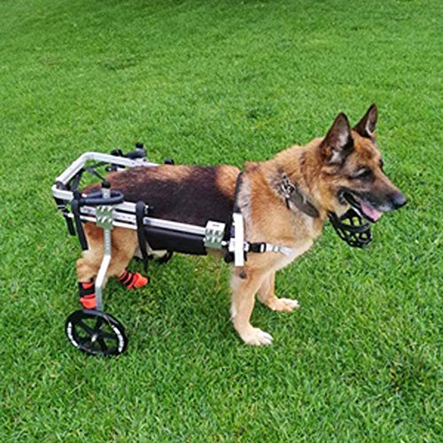 Cora Pet Scooter para Mascotas, Soporte Auxiliar Grande Silla De Ruedas Paralizada Perro Discapacitado Aleación De Aluminio Ultra Ligero Implementación Común Fácil De Usar Ajustable (20-60kg)