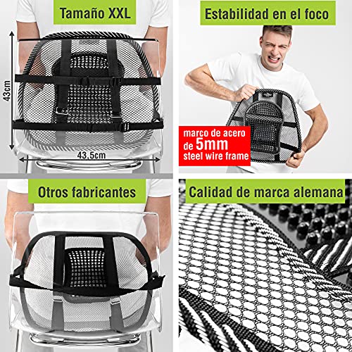 Donnerberg Soporte Lumbar Silla Oficina - Respaldo Lumbar Coche Alivia el Dolor Lumbar - Almohada Lumbar - Calidad Alemana