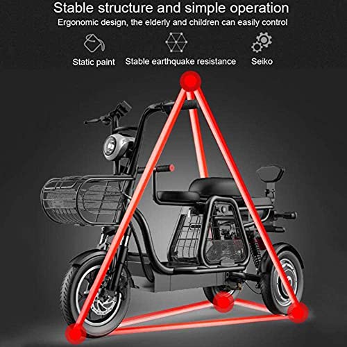 DREAMyun Bicicletas Eléctricas, Bicicleta Eléctrica De 3 Ruedas, 48V500W Motor, batería de Larga duración y Pantalla de Alta definición LEC, Faros LED/Choque múltiple Sistema de absorción