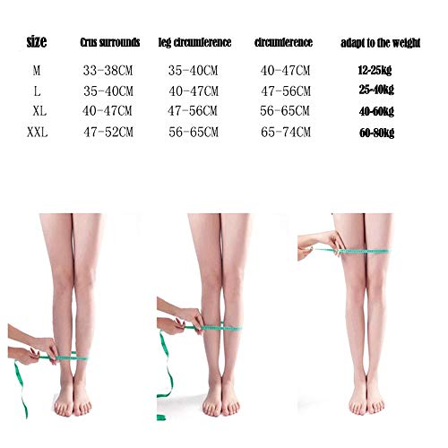 Dr.Taylor X/S Piernas Corrección de la Correa, 3-en-1 Profesional Pierna Corrector de la Postura de la Rodilla en Valgo Enderezar, Cadera Grande y Tobillo Ortesis de Recuperación,Púrpura,L