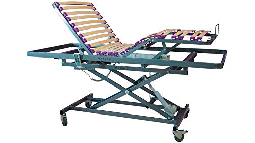 ekamia - Cama Geriátrica Eléctrica con Carro Elevador - 105cm x 190cm