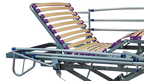 ekamia - Cama Geriátrica Eléctrica con Carro Elevador y Barandilla - 105cm x 190cm