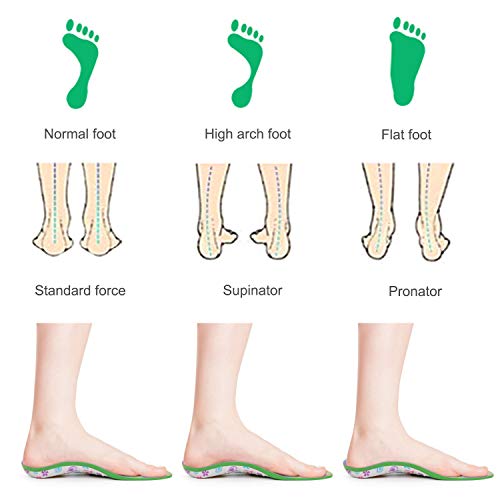 EVERHEALTH Plantillas para niños Insertos de zapatos Ortesis Comfort Arch Support, Suela interna que absorbe los golpes Cojines para el talón, Pies planos, Pronación por debajo/por encima (29-31 EU)