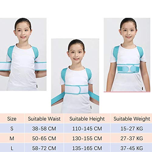 FENXIXI Niños Ajustables Postura Corrector Trasero Cinturón de Soporte para niños Corsé ortopédico para niños Espalda Espalda Lumbar Hombro Sujetadores Salud (Color : Blue, Size : Small-S)