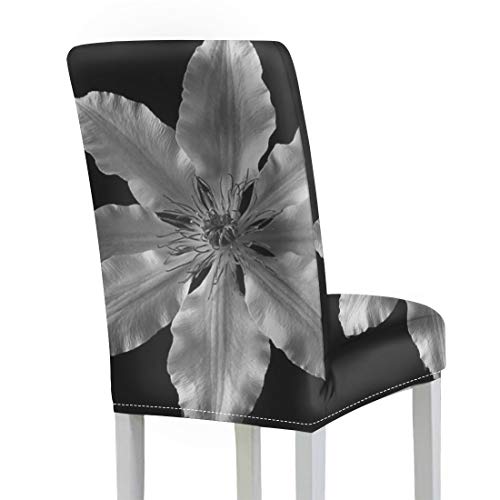 Fundas para sillas de mesa de comedor Clematis Flower Blanco y negro Pétalo de planta Comedor Eoom Funda para silla Poliéster elástico Sillas de comedor lavables extraíbles Fundas de asiento para el