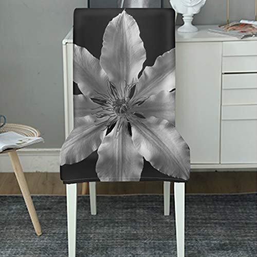 Fundas para sillas de mesa de comedor Clematis Flower Blanco y negro Pétalo de planta Comedor Eoom Funda para silla Poliéster elástico Sillas de comedor lavables extraíbles Fundas de asiento para el