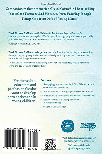 Good Pictures Bad Pictures Guidebook for Professionals: Therapeutic and Educational Interventions with Didactic, Artistic, and Kinesthetic Applications