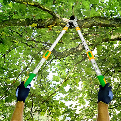 GRÜNTEK Tijera Cortarramas Telescópica XT 685-1015 mm. Hoja de 78 mm Corte Bypass. Tijera de poda Amboss