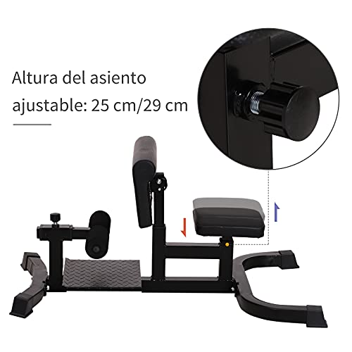 HOMCOM Máquina de Sissy Squat Equipo Multifuncional para Sentadillas Entrenamiento de Abdominales con Asiento y Cojín para Piernas Ajustables 71x108x46-58 cm Negro