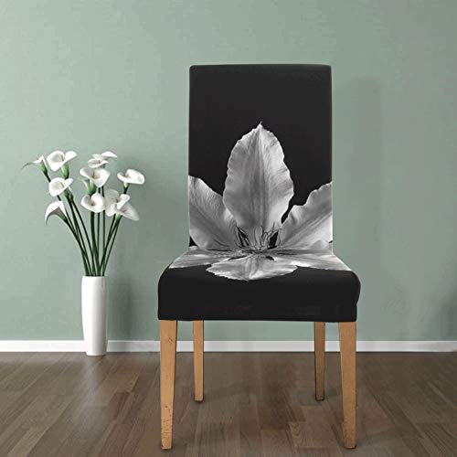 Juego de Comedor Clematis Flower Blanco y Negro Planta Pétalo Fundas para sillas para Mascotas para Muebles Fundas para sillas elásticas Suaves Fundas para sillas de Asiento extraíbles y Lavables par