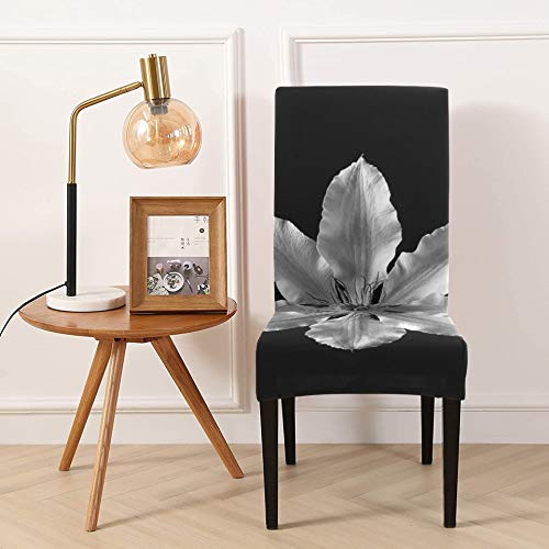 Juego de Comedor Clematis Flower Blanco y Negro Planta Pétalo Fundas para sillas para Mascotas para Muebles Fundas para sillas elásticas Suaves Fundas para sillas de Asiento extraíbles y Lavables par