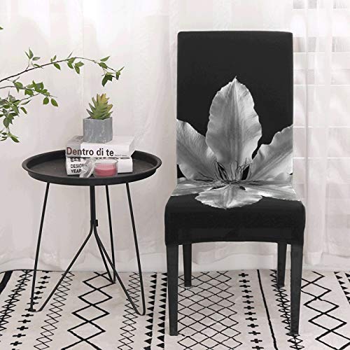 Juego de Comedor Clematis Flower Blanco y Negro Planta Pétalo Fundas para sillas para Mascotas para Muebles Fundas para sillas elásticas Suaves Fundas para sillas de Asiento extraíbles y Lavables par