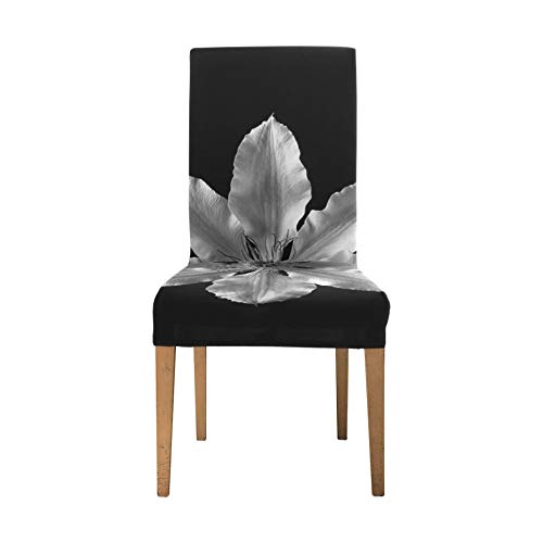 Juego de Comedor Clematis Flower Blanco y Negro Planta Pétalo Fundas para sillas para Mascotas para Muebles Fundas para sillas elásticas Suaves Fundas para sillas de Asiento extraíbles y Lavables par