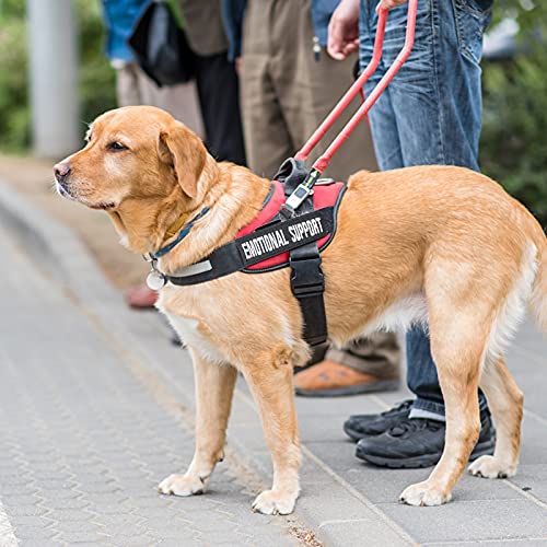 Molain Parche bordado para chaleco de perro con gancho y bucle, 6 parches tácticos extraíbles de velcro negro para arnés de perro de servicio insignia en el entrenamiento