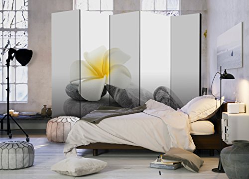 murando Biombo 225x172 cm de Impresion Unilateral en el Lienzo de TNT Decoracion Foto Biombo de Madera con Imagen Impresa Separador Grande Home Office b-B-0190-z-c