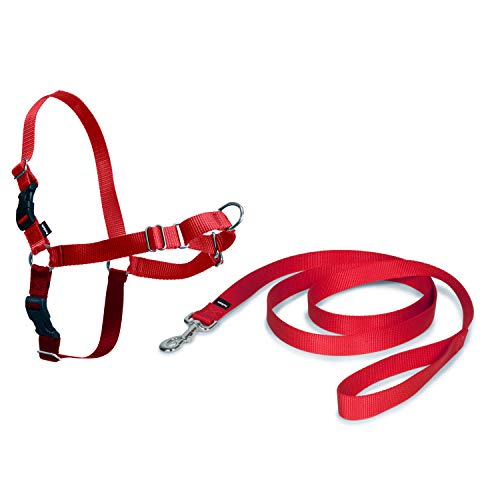 PetSafe Easy Walk Arnés para Perros pequeños/medianos/Grandes, Mediano, Rojo, 1,8 m de Plomo