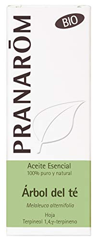 Pranarom Aceite Esencial de Árbol del Té, Bio, Hoja, Transparente, 10 Mililitros