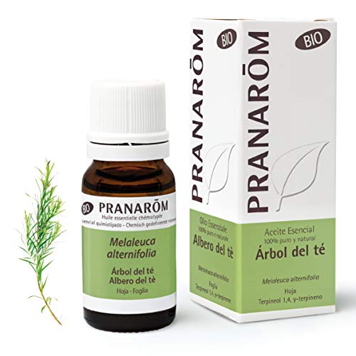 Pranarom Aceite Esencial de Árbol del Té, Bio, Hoja, Transparente, 10 Mililitros