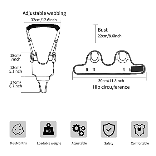 Rmeet Toddler Walking Assistant, Liesun Correa Bebe Para Caminar, Se pone de pie caminar ayudante de aprendizaje for el bebé, caminar bebé Asistente arnés, caminante del bebé(Azul)
