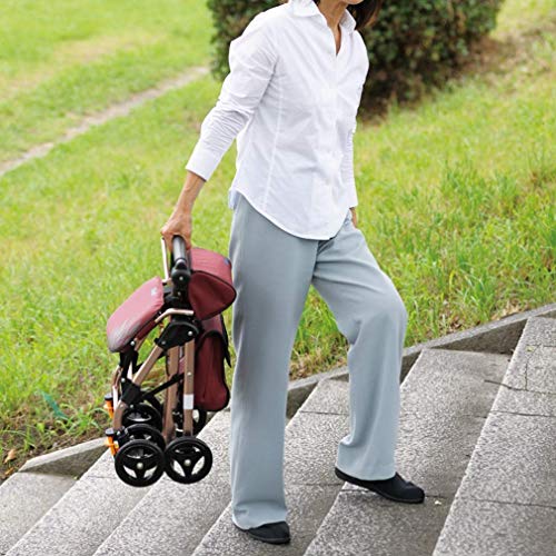 SFSGH Walking Aids, 4 Ruedas, portátil, Plegable, Andador con Andador con Asiento, Andador con Ruedas médicas, Sistema de Doble Freno, Utilizado para Personas Mayores Que Caminan, Rojo