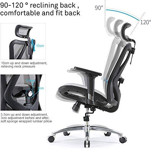 SIHOO Silla de Oficina Ergonómica, Silla de Escritorio, Respaldo Alto, Transpirable, Silla de Malla, con Reposabrazos 3D y Soporte Lumbar Ajustables(Gris)