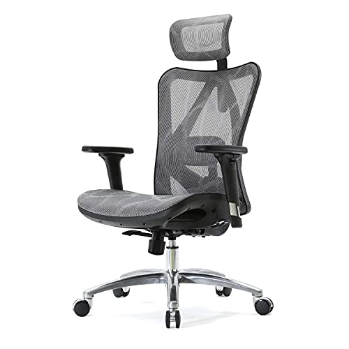 SIHOO Silla de Oficina Ergonómica, Silla de Escritorio, Respaldo Alto, Transpirable, Silla de Malla, con Reposabrazos 3D y Soporte Lumbar Ajustables(Gris)