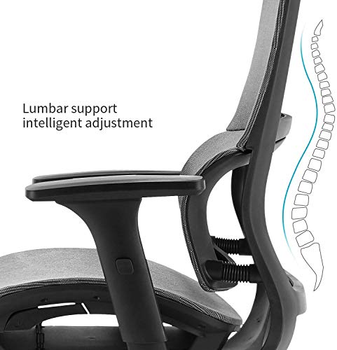 SIHOO Silla de Oficina, Silla ergonómica, Silla de Escritorio con Respaldo Alto, Silla giratoria de Malla, Reposabrazos Ajustable en 3D, Soporte Lumbar elástico único(Gris)