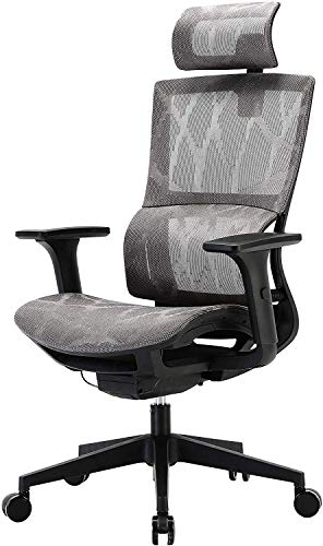 SIHOO Silla de Oficina, Silla ergonómica, Silla de Escritorio con Respaldo Alto, Silla giratoria de Malla, Reposabrazos Ajustable en 3D, Soporte Lumbar elástico único(Gris)