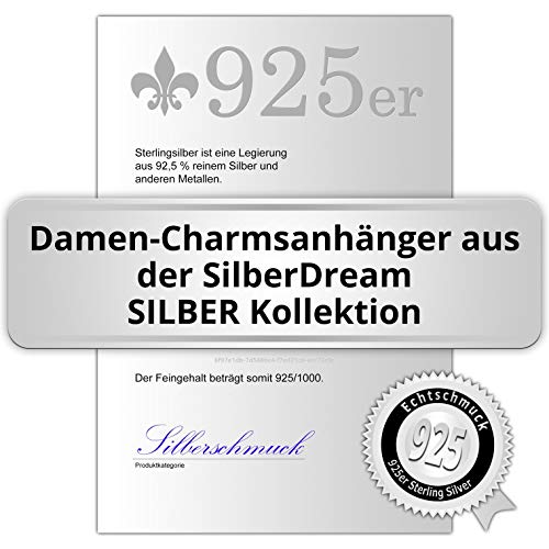 SilberDream Charms-Charm-scooter de plata, de charmes abrazaderas bracelets-Pendientes de plata 925 Sterling-FC3138