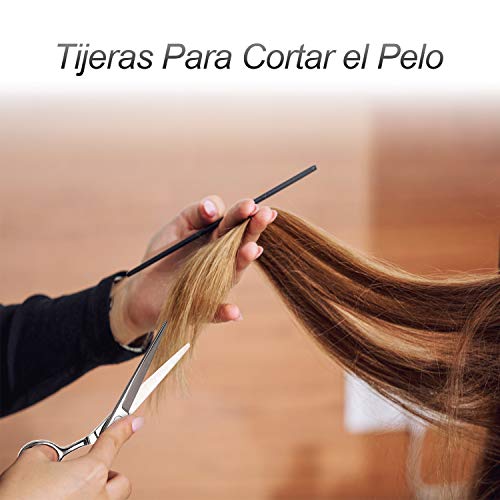 Tijeras Peluqueria Profesional, CIICII 8Pcs Tijeras Barbero de Cortar/Tijeras Entresacar Peluqueria/Tijeras Cortar Pelo (6.7 Pulgadas/Plateado) Tijeras para el Cabello para Peluquero y Salón de Corte