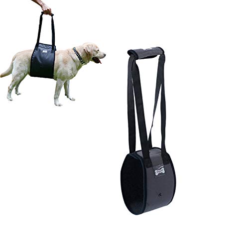 Tineer Arnés para Levantar Perros para Perros de Edad Avanzada o discapacitados - Soporte Sling Ayuda Posterior Piernas débiles Levántese, camine, suba escaleras (L, Gris)