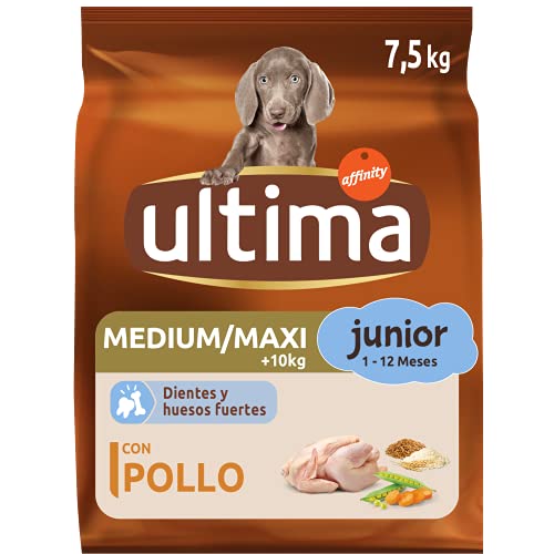 ultima Pienso para Perros Medium-Maxi Junior con Pollo - 7,5 kg