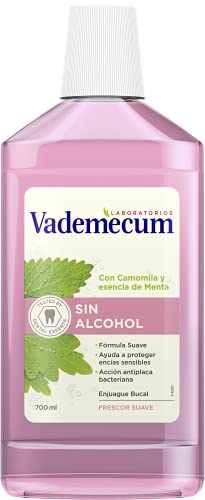 Vademecum - Enjuage Bucal Sin Alcohol - 700ml