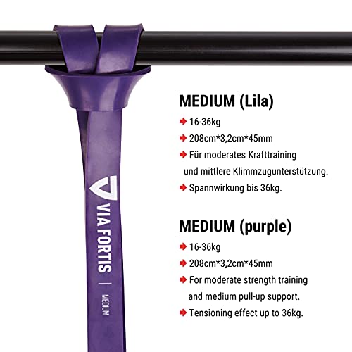 VIA FORTIS Banda Elástica de Resistencia Cuerda de Fuerza para Fitness, Crossfit, Pilates, Estiramientos| Incluye Bolsa de Transporte | 5 Niveles de Resistencia Diferentes (3 - Medium (Morado))