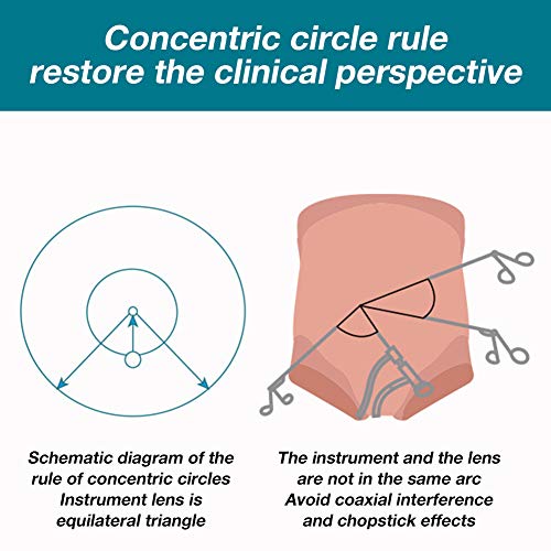 WANJIAJIA Toracoscopia y Laparoscópica Simulador Cirugía Kit de Sutura Quirurgica para Medicina Enseñando, con HD Endoscopio Cámara & 4 Instrumento Quirúrgico & 9 Entrenamiento Módulos