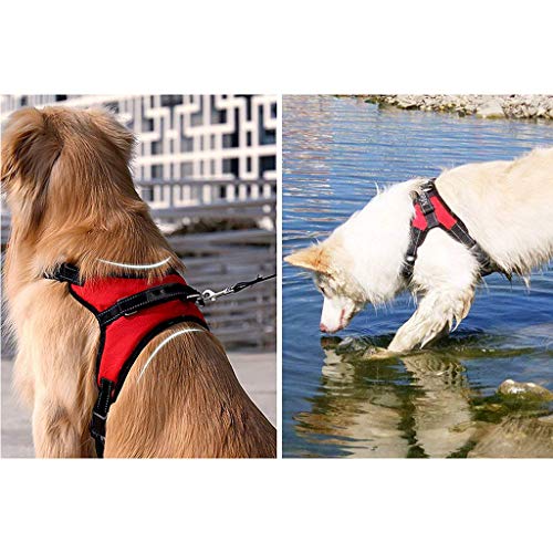 XIAO Arnés para Perro Ajustable Refletive Chaleco De Perro con Manija Y Silla Acolchada Style Durable Estilo De Silla De Montar para Perro Mediano Grande,B,L