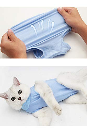 AEITPET Traje de recuperación Profesional para Gatos, Gata Camiseta de recuperación, heridas Abdominales Profesional para heridas, de recuperación quirúrgica Ropa Chaleco de pequeños Gatos (M, Azul)