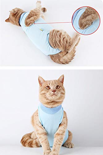 AEITPET Traje de recuperación Profesional para Gatos, Gata Camiseta de recuperación, heridas Abdominales Profesional para heridas, de recuperación quirúrgica Ropa Chaleco de pequeños Gatos (M, Azul)