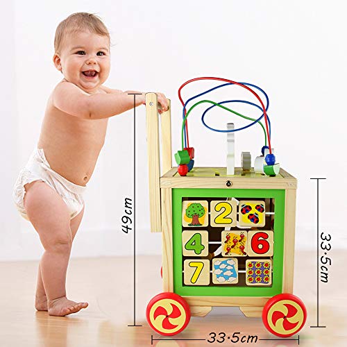 Andadore Bebe Juguetes de Madera Correpasillos Carrito Bebe Juegos Educativos Regalos Originales Bebes Niña Niño 1+ Año