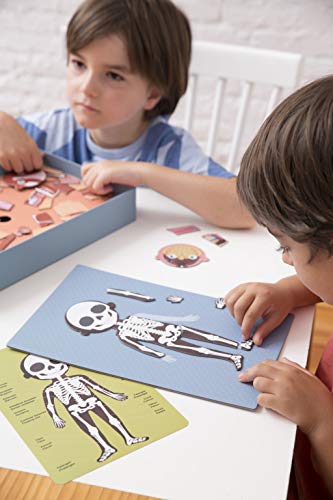 APLI Kids-Sobre el Cuerpo Humano Juego Magnético, Multicolor (18531)