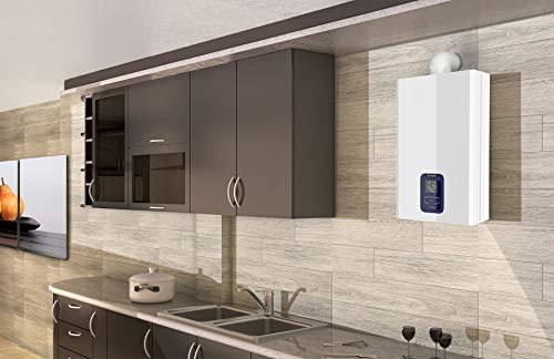 Ariston calentador a gas estanco NEXT EVO X BLU SFT 16 GAS NATURAL EU. Fabricado para ser instalado en España, Blanco