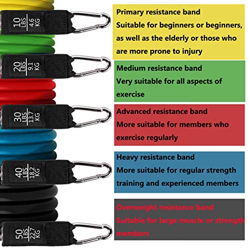 Bandas Elasticas Musculacion,Set de Bandas de Resistencia con Cinco Tubo de Látex,Bandas de Resistencia Fitness para Yoga,Fisioterapia,Estiramientos,Gimnasio en Casa,Incluye Bolsa de Transporte