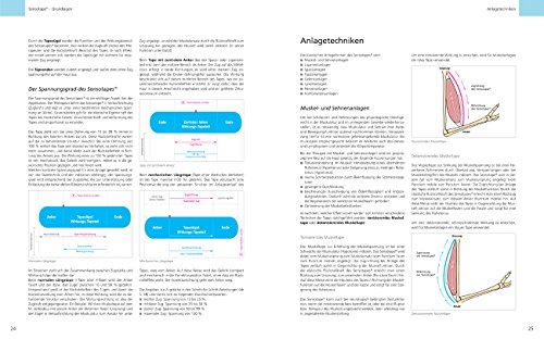 Bildatlas Senso-Taping: Band 1: Kopf, HWS, BWS, oberer Rumpf