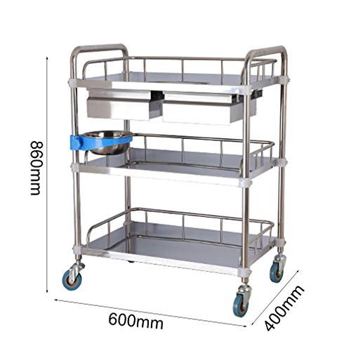 Carro médico Carro de Tratamiento Acero Inoxidable Mesa de Instrumental| Móvil 2/3-Shelf/Vehículo quirúrgico vehículo médico | Carro de Herramientas Salon de Belleza | Carga 150 Kg