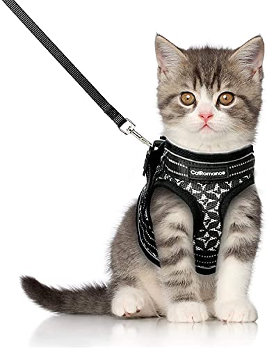 CatRomance Arnés para Gato Ajustable y Antifugas con Correa de 150 cm, Arnés Gato Reflectante de Tela de Malla Suave y Transpirable para Correr, Entrenamiento, Gatos Mediano y Adultos, Negro, M