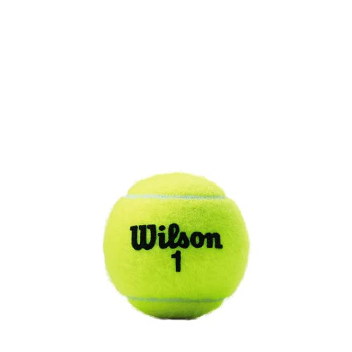 CHAMP XD TBALL 3 BALL CAN