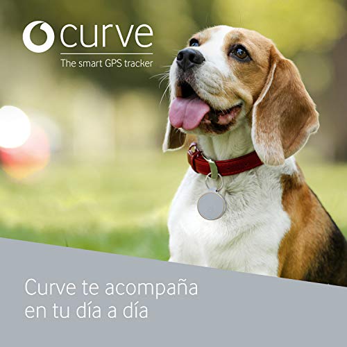 Curve, Localizador GPS Inteligente, Mini Dispositivo Ligero para tu Coche, Bolso, Perro, Llaves con Rastreo Ilimitado Desde tu Móvil