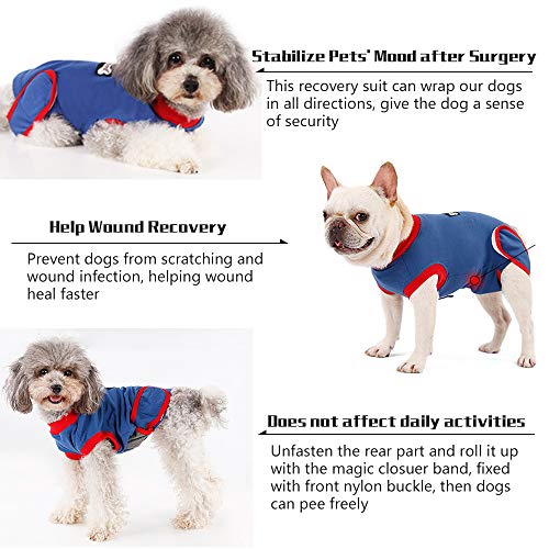 Doglemi Traje de recuperación para perros, traje de protección para heridas para perros después de la cirugía, corsé de recuperación abdominal, vendaje perfecto E-Collar Cone Alternative