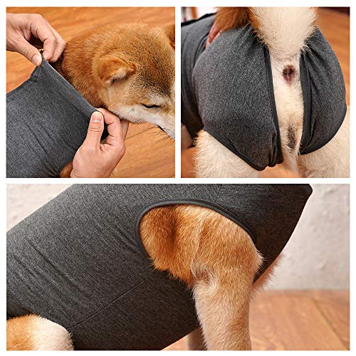 Dotoner Chaleco de recuperación para Perros y Gatos, Protector de heridas Abdominales, Ropa quirúrgica médica para Cachorros(Gris,L)