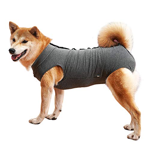 Dotoner Chaleco de recuperación para Perros y Gatos, Protector de heridas Abdominales, Ropa quirúrgica médica para Cachorros(Gris,L)